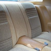 1979 Pontiac Firebird Trans Am - Image 14
