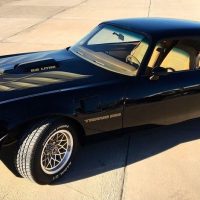 1979 Pontiac Firebird Trans Am - Image 2