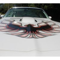 1976 Pontiac Firebird Trans Am - Image 27