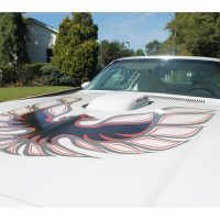 1976 Pontiac Firebird Trans Am - Image 28