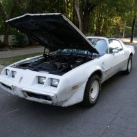 1981 Pontiac Firebird Trans Am SE Turbo - Image 18