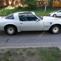 1981 Pontiac Firebird Trans Am SE Turbo - Image 19