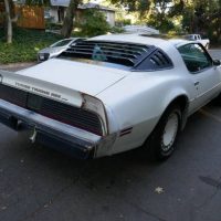 1981 Pontiac Firebird Trans Am SE Turbo - Image 21