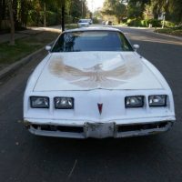 1981 Pontiac Firebird Trans Am SE Turbo - Image 24