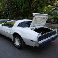 1981 Pontiac Firebird Trans Am SE Turbo - Image 27