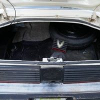 1981 Pontiac Firebird Trans Am SE Turbo - Image 30