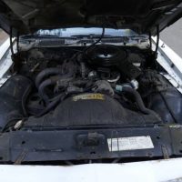 1981 Pontiac Firebird Trans Am SE Turbo - Image 32