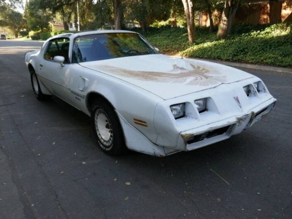 1981 Pontiac Firebird Trans Am SE Turbo