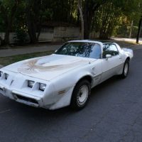 1981 Pontiac Firebird Trans Am SE Turbo - Image 3