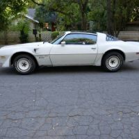 1981 Pontiac Firebird Trans Am SE Turbo - Image 4