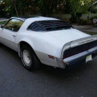 1981 Pontiac Firebird Trans Am SE Turbo - Image 6