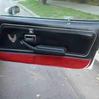1981 Pontiac Firebird Trans Am SE Turbo - Image 9