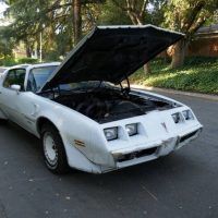1981 Pontiac Firebird Trans Am SE Turbo - Image 13