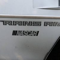 1981 Pontiac Firebird Trans Am SE Turbo - Image 14